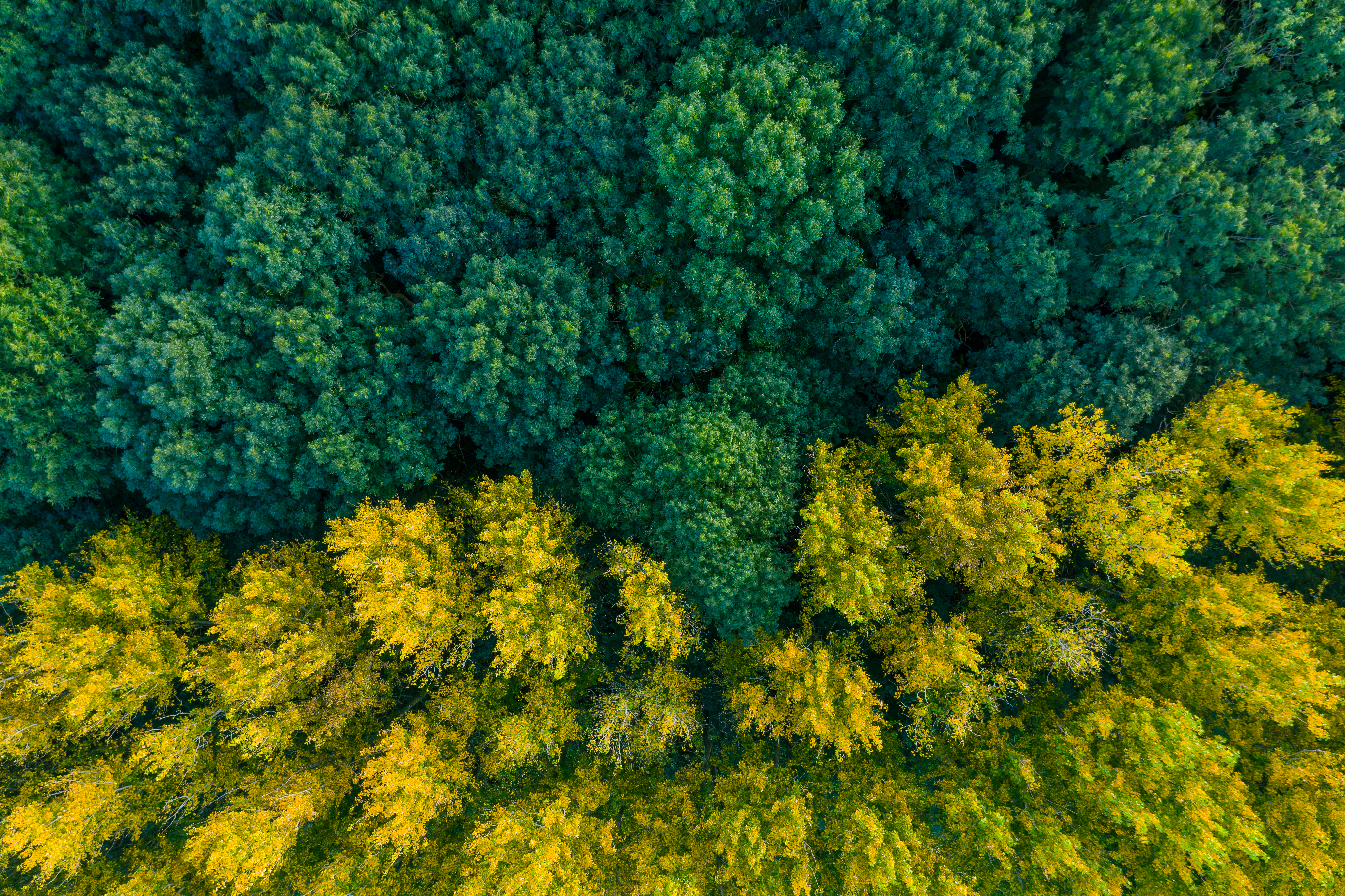 Istock 1192027478