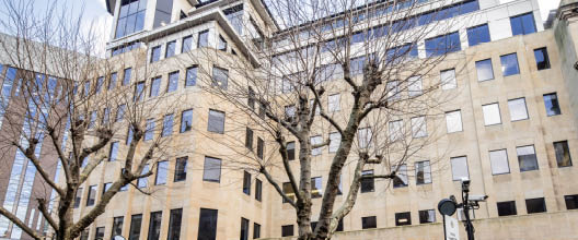 Main (528 x 220).jpg (1)