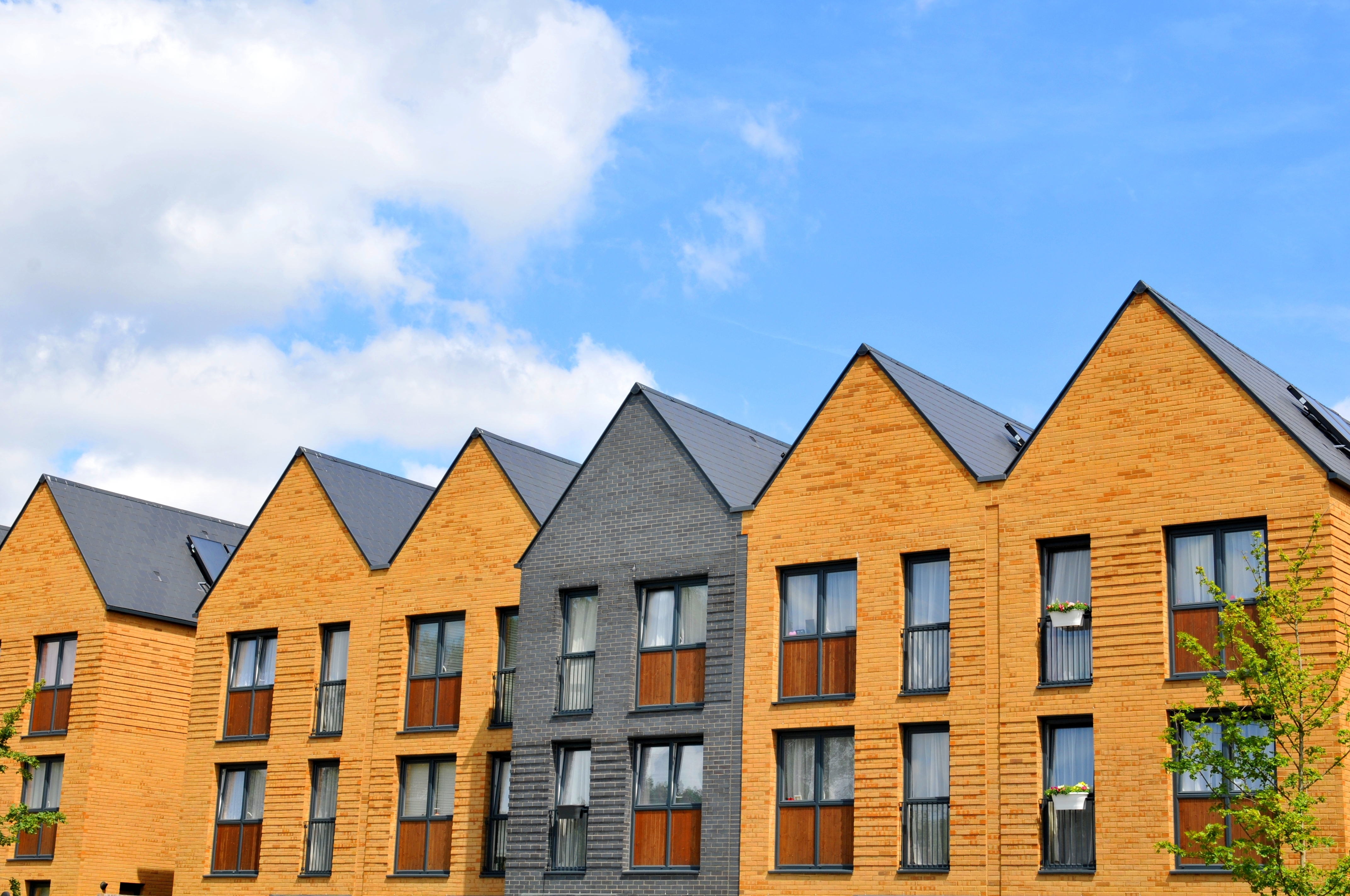 shutterstock_240621037